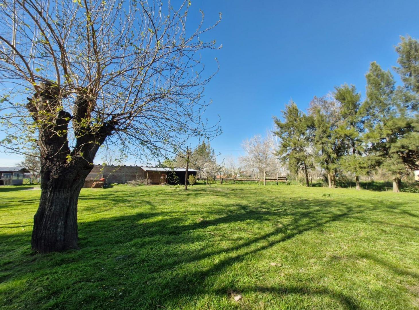 Foto de Campo en venta en Máximo Paz Cañuelas, imagen 4