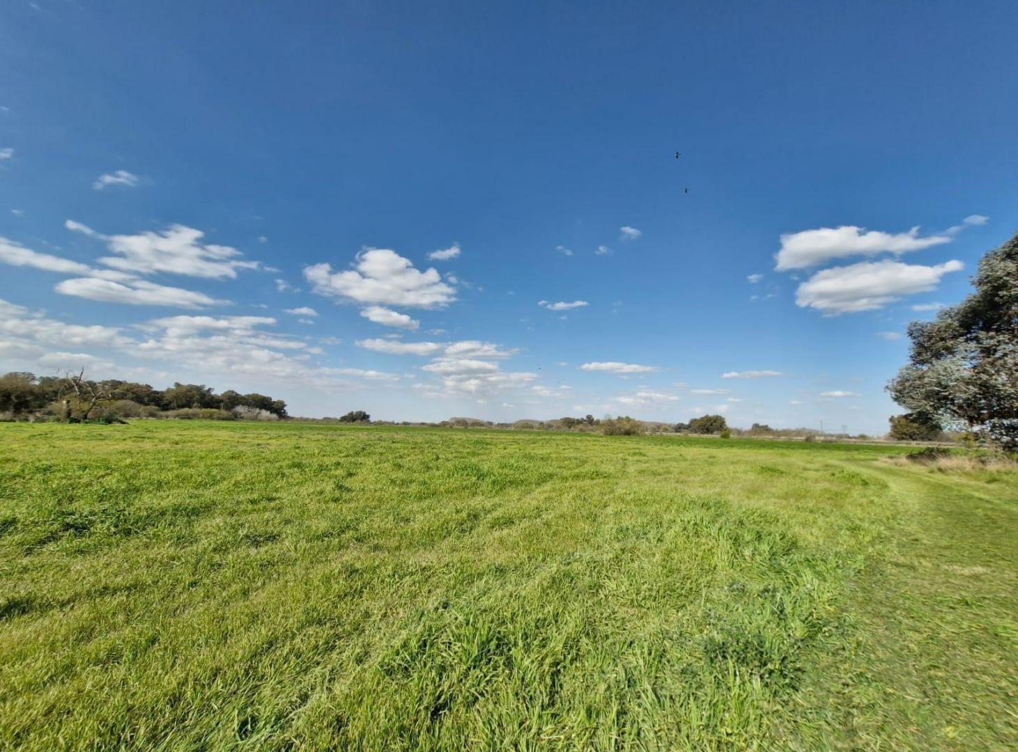 Foto de Campo / Hectáreas en venta en Canning Ezeiza, imagen 1