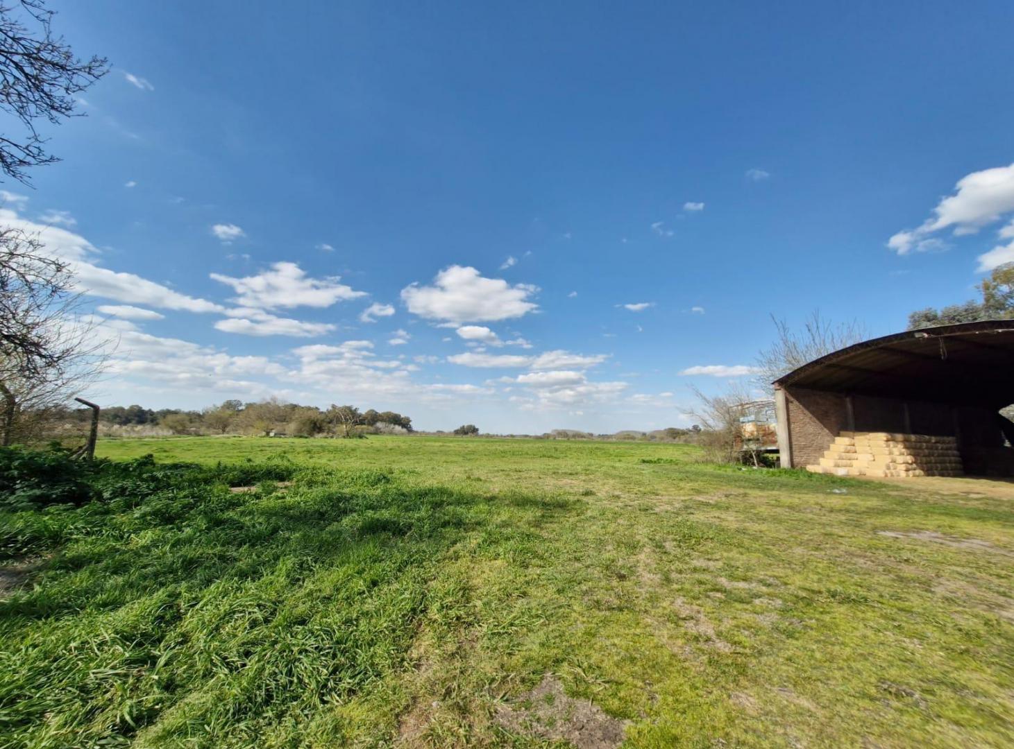 Foto de Campo / Hectáreas en venta en Canning Ezeiza, imagen 5