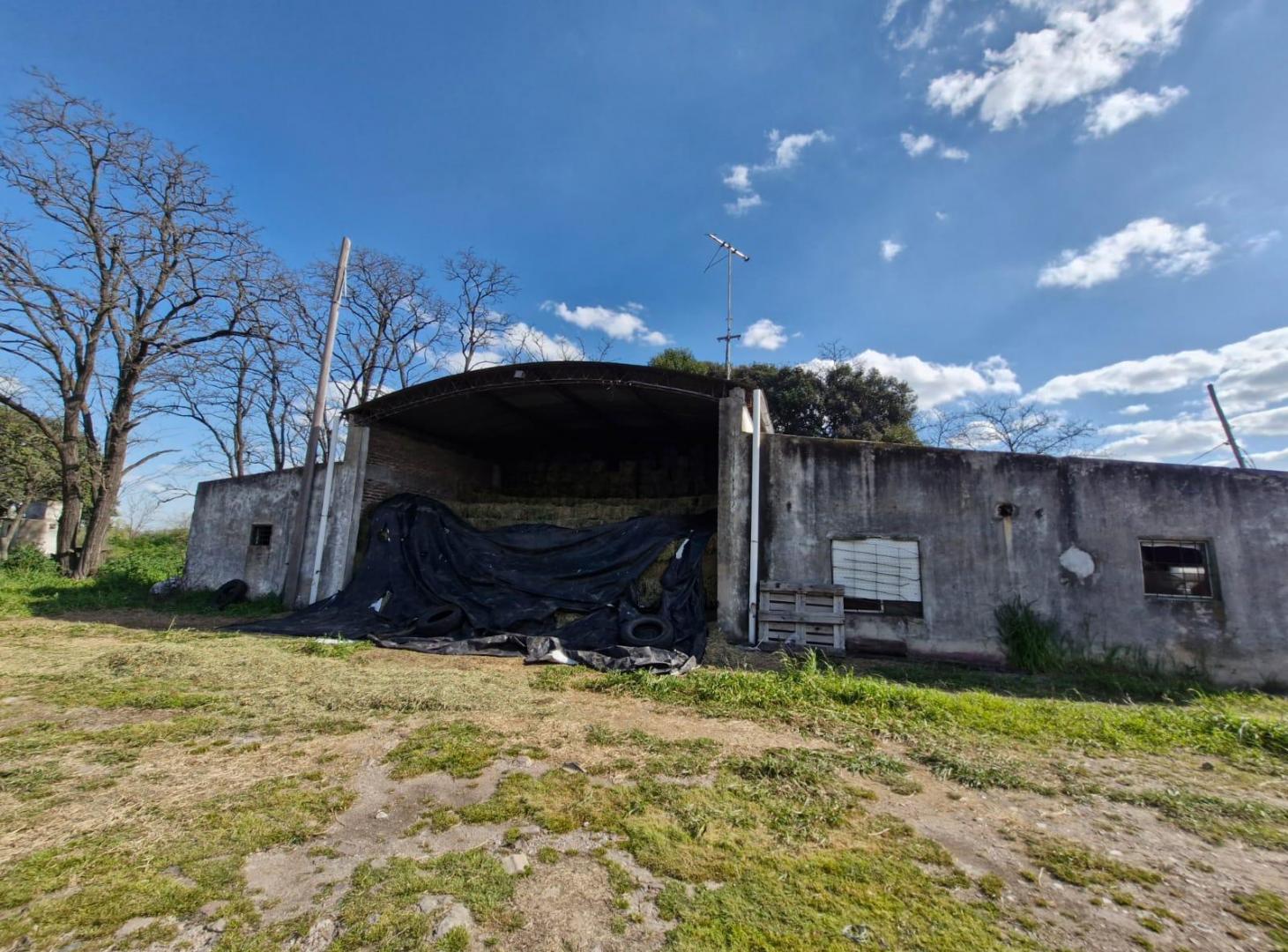 Foto de Campo / Hectáreas en venta en Canning Ezeiza, imagen 4