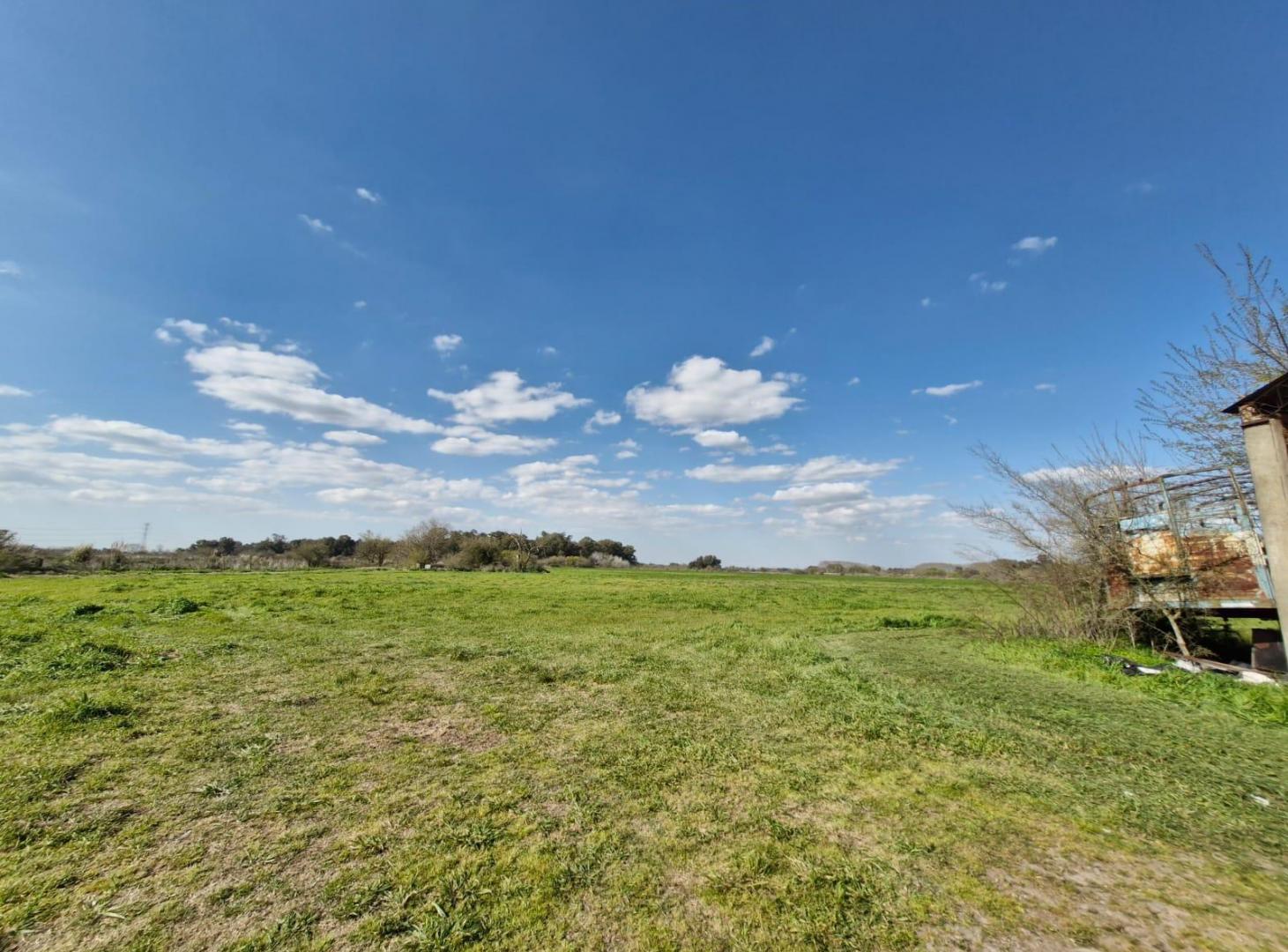 Foto de Campo / Hectáreas en venta en Canning Ezeiza, imagen 2
