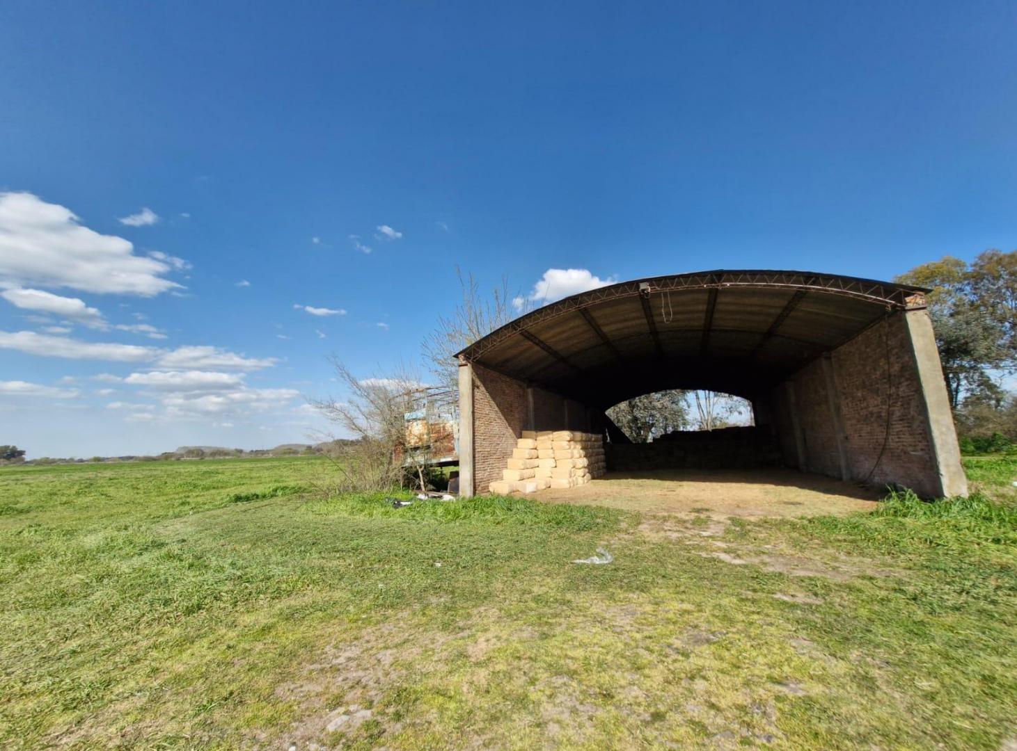 Foto de Campo / Hectáreas en venta en Canning Ezeiza, imagen 3