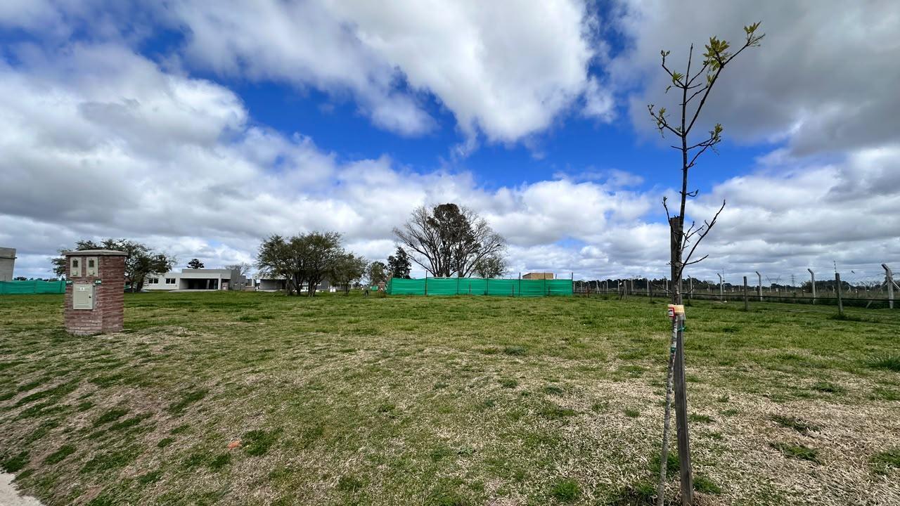 Foto de Terreno en venta en San Simon Canning, imagen 1