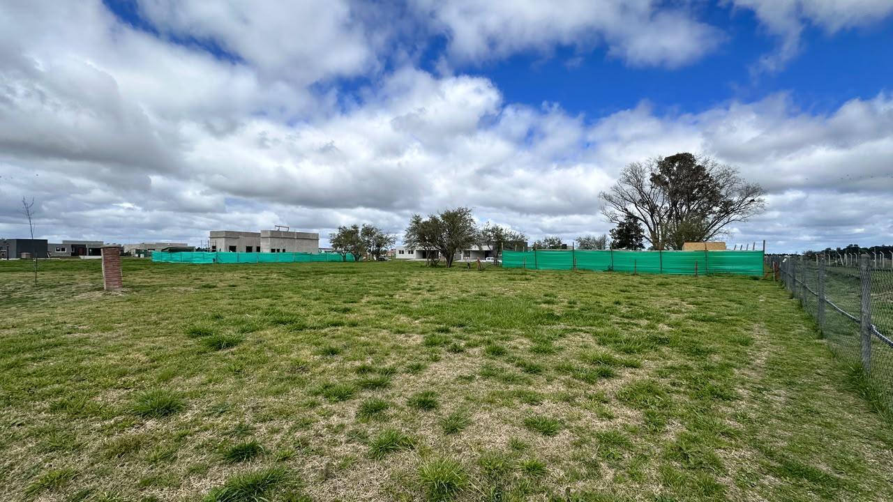 Foto de Terreno en venta en San Simon Canning, imagen 5