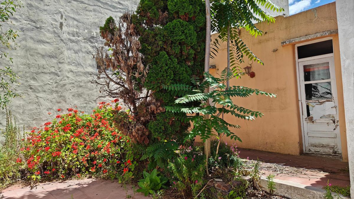 Lote Céntrico de 10x21 con Propiedad a Reciclar o Demoler 5