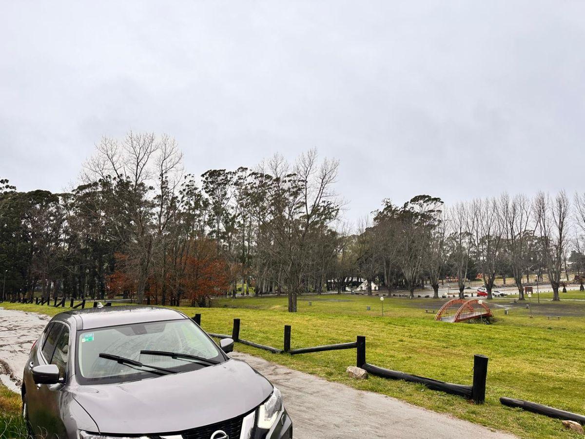 Foto de Lote en el Lago de Tandil, imagen 4