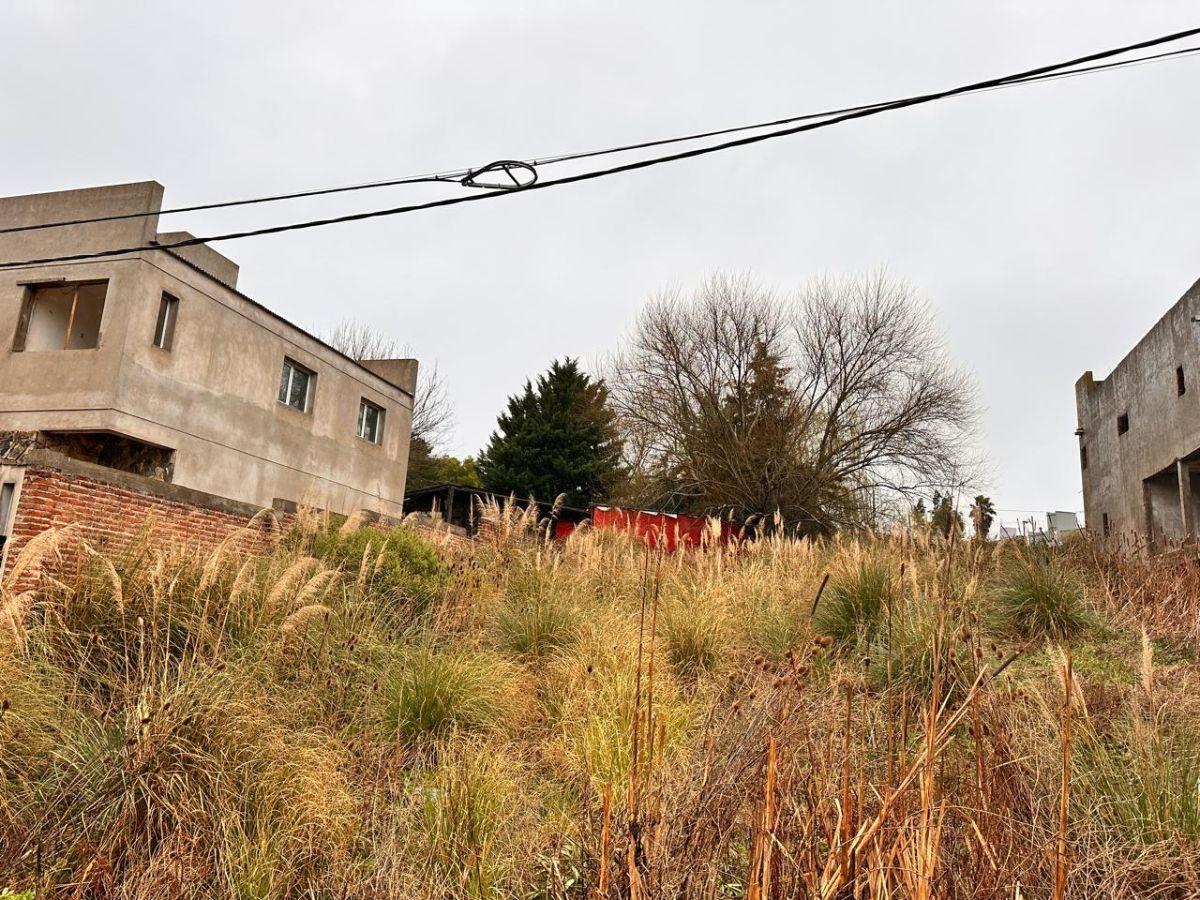 Foto de Lote en el Lago de Tandil, imagen 3