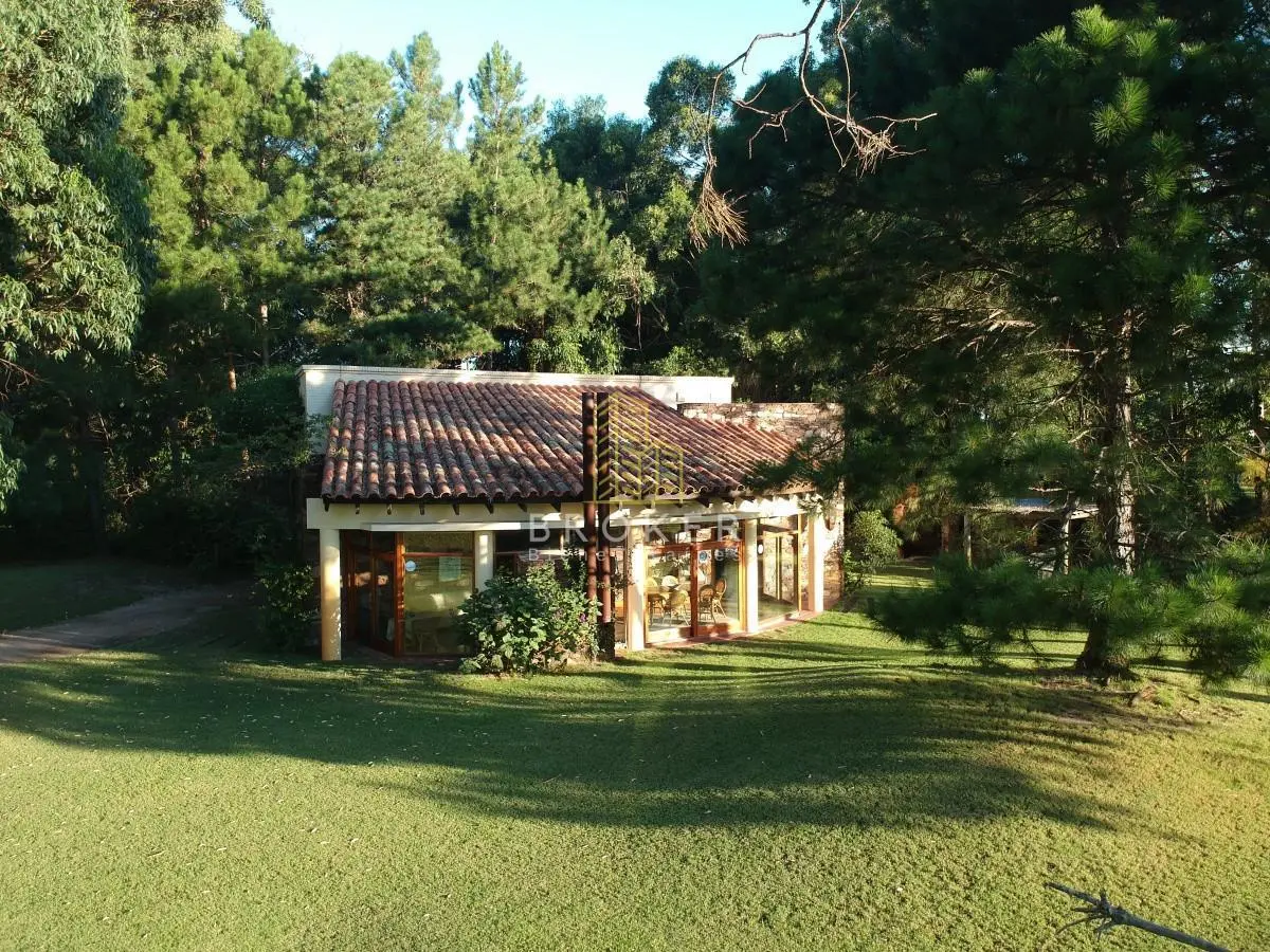 Solanas 1