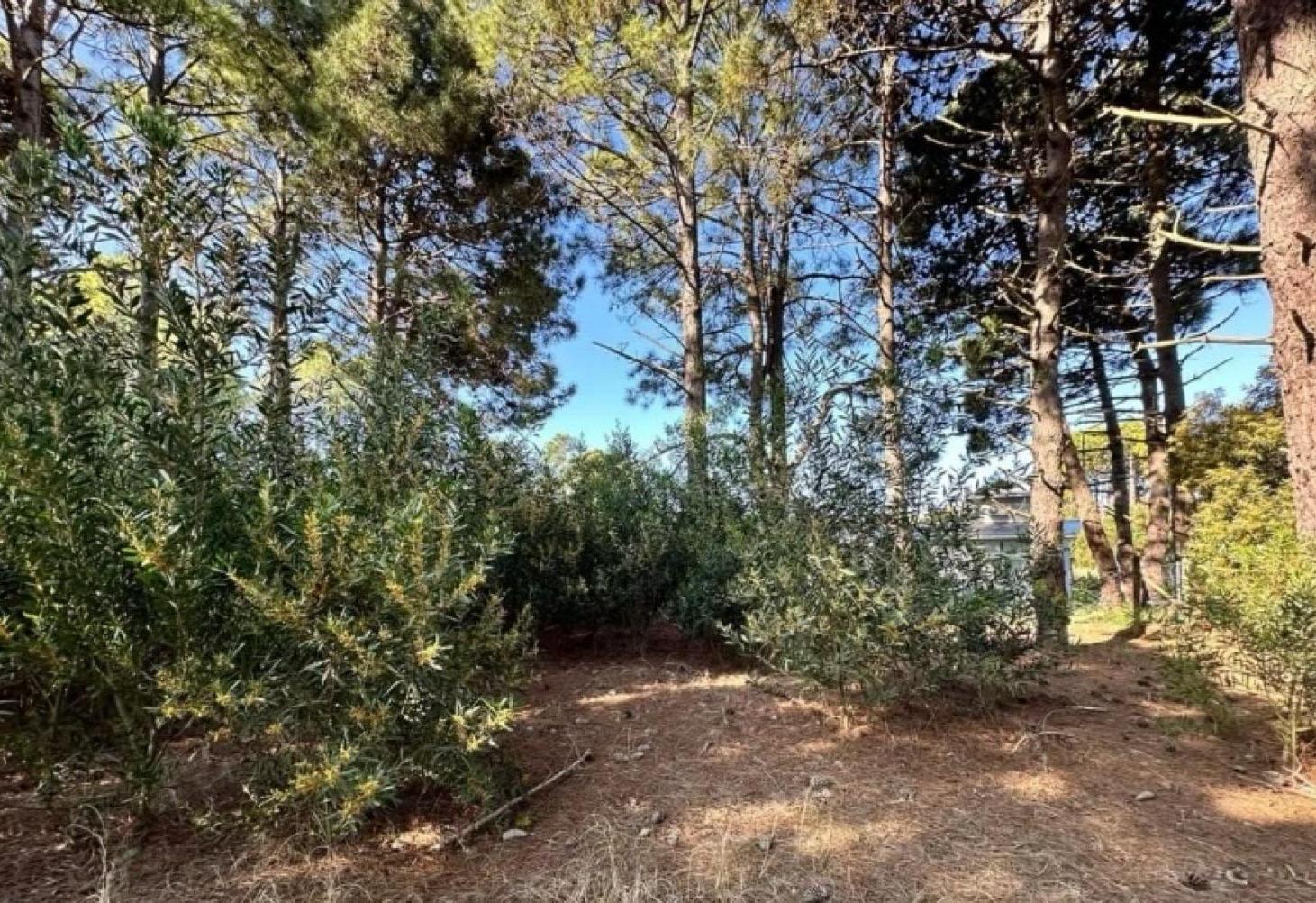 Foto de Terreno venta- Pinamar Nayades Oportunidad, imagen 2