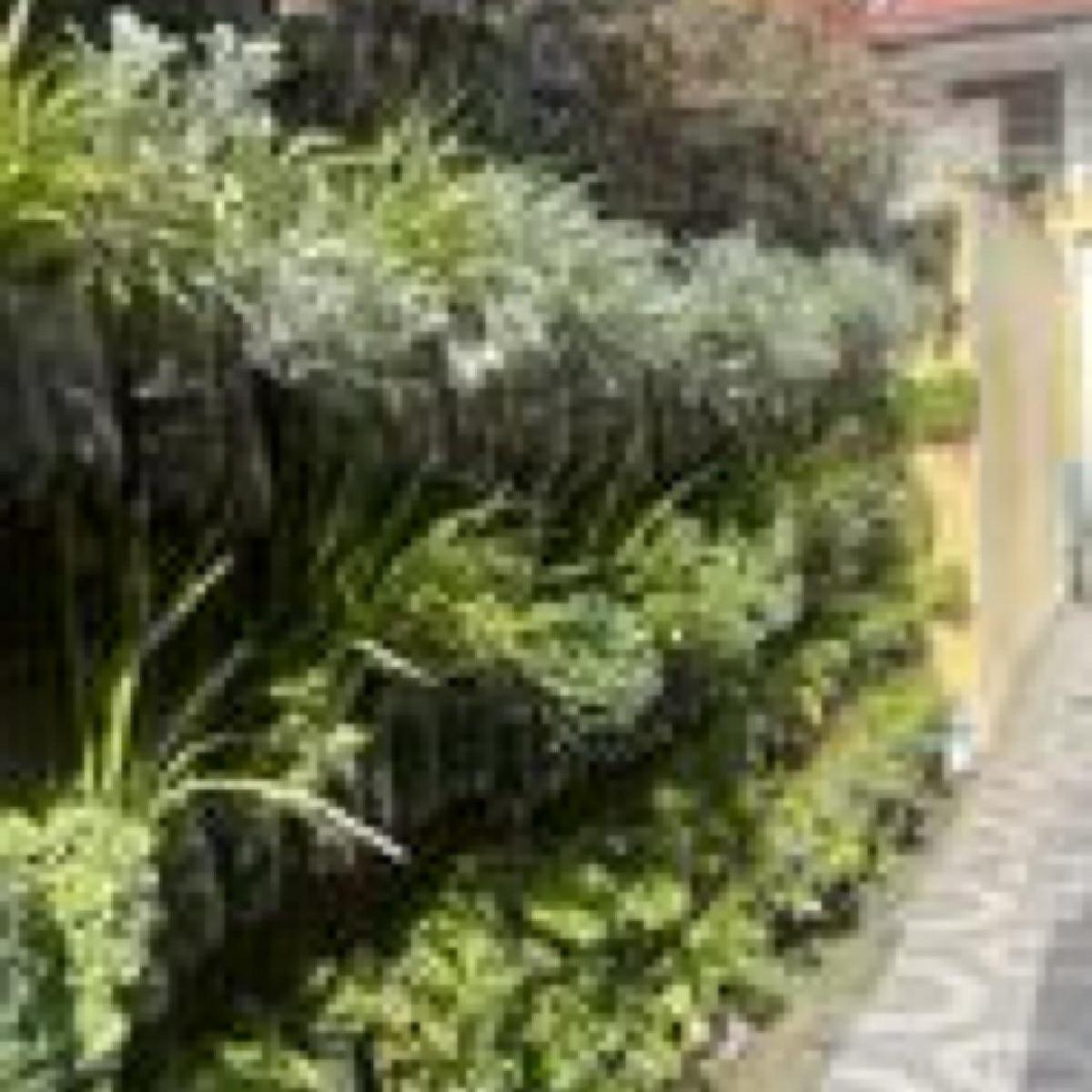 Casa Interna Pto Norte 4