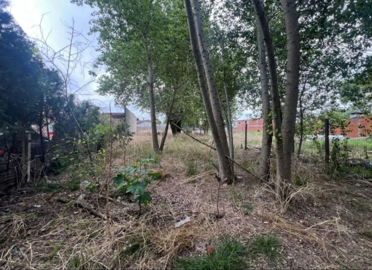 Foto de Terreno Lote en Venta en Costa Azul, Costa Atlántica, Buenos Aires, imagen 3