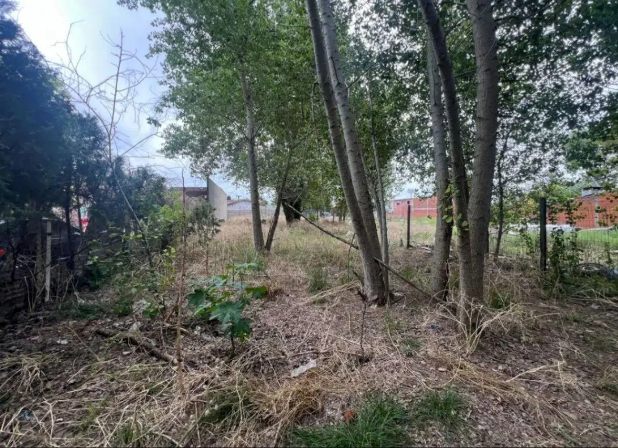 Terreno Lote  en Venta en Costa Azul, Costa Atlántica, Buenos Aires 3