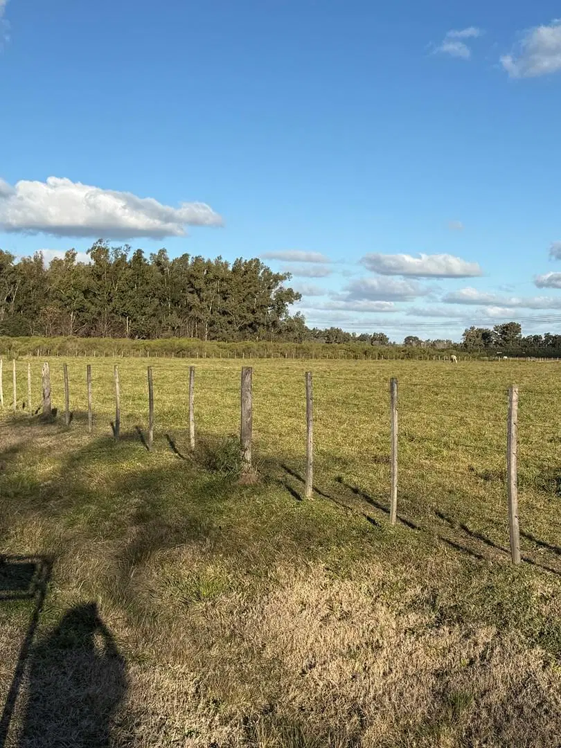 Terreno Emp. Rural  en Venta en Zárate, G.B.A. Zona Norte, Argentina 3