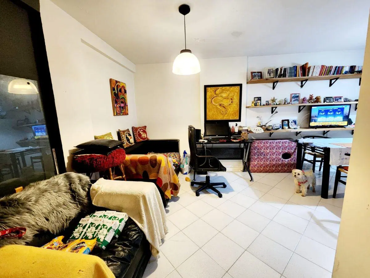 Departamento centrido 2 dormitorios en venta 1