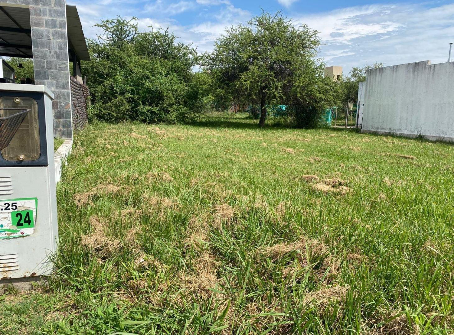 Foto de Venta Terreno Villa Catalina Primera Etapa, imagen 4
