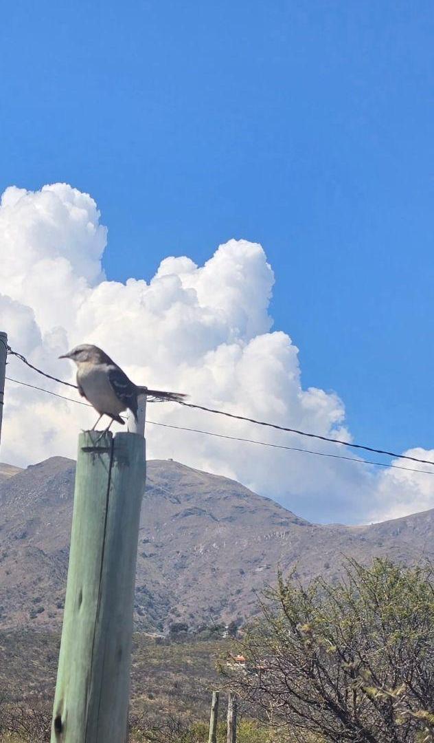 Foto de Los Cocos excelente terreno con vista a las sierras, imagen 2