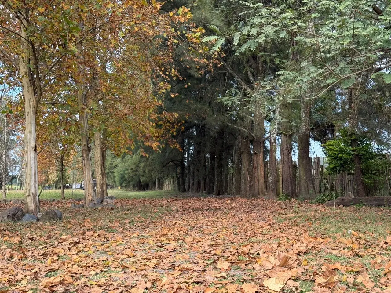 Campo en Venta con salon de eventos 2