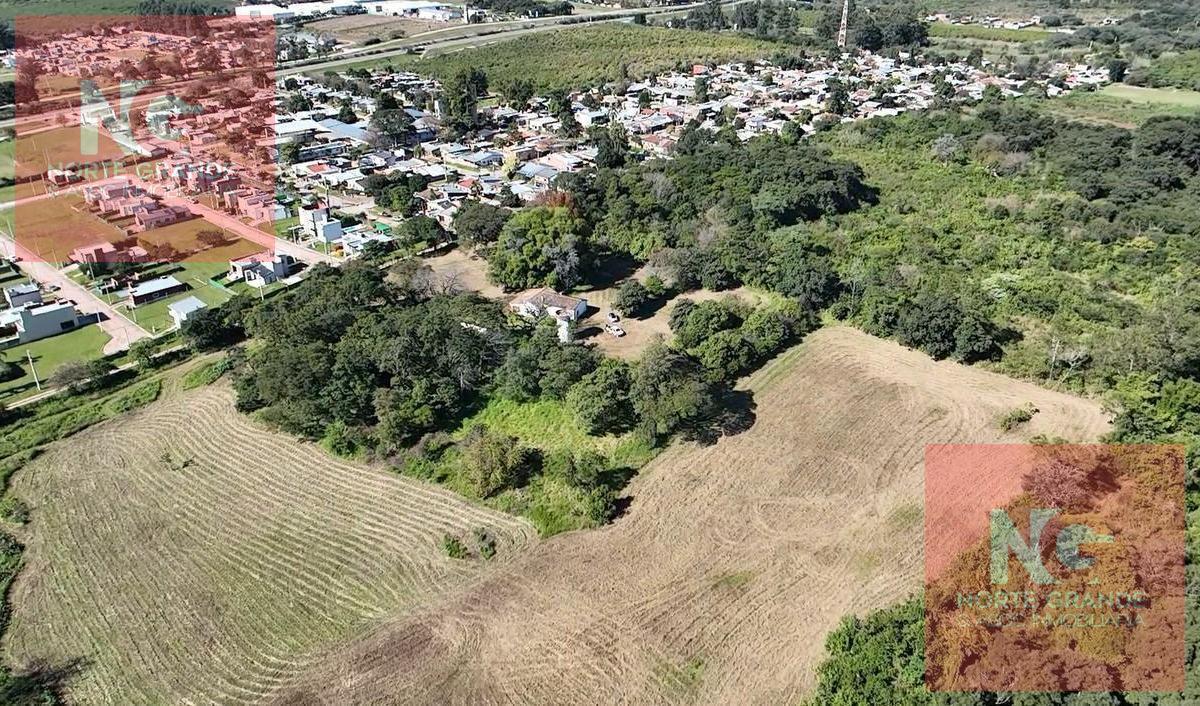 Foto de Campo de 13 Has en Los Nogales, imagen 1