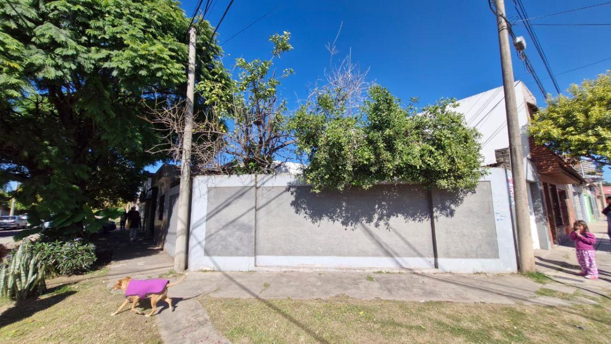 Foto de OPORTUNIDAD en esquina – Castelli a metro de Avenida, imagen 4