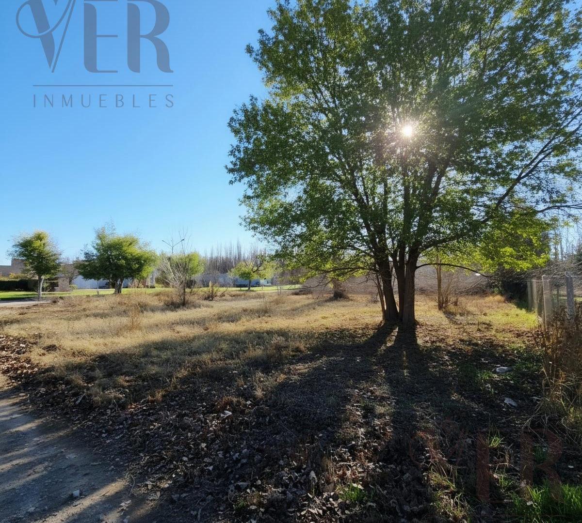 Foto de Venta de lote 1000 m2 - B° Fincas de Plottier, Plottier, imagen 5