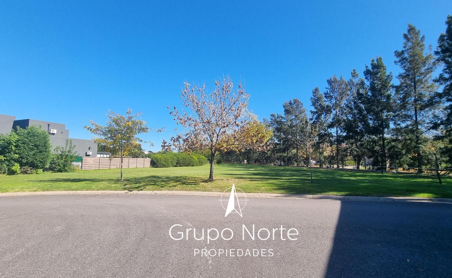 Foto de Terreno en venta en Villanueva, Santa Teresa., imagen 5