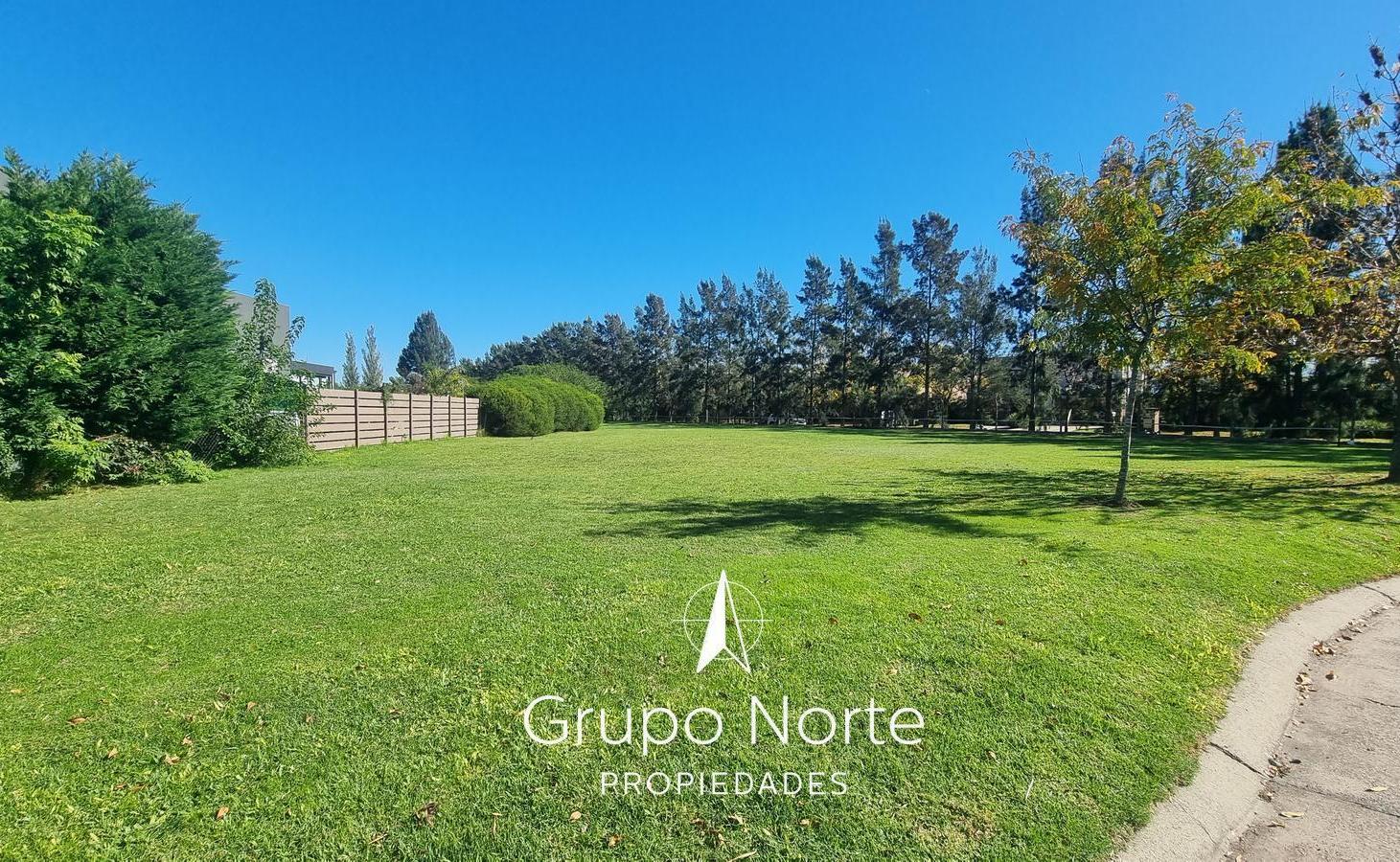 Foto de Terreno en venta en Villanueva, Santa Teresa., imagen 4