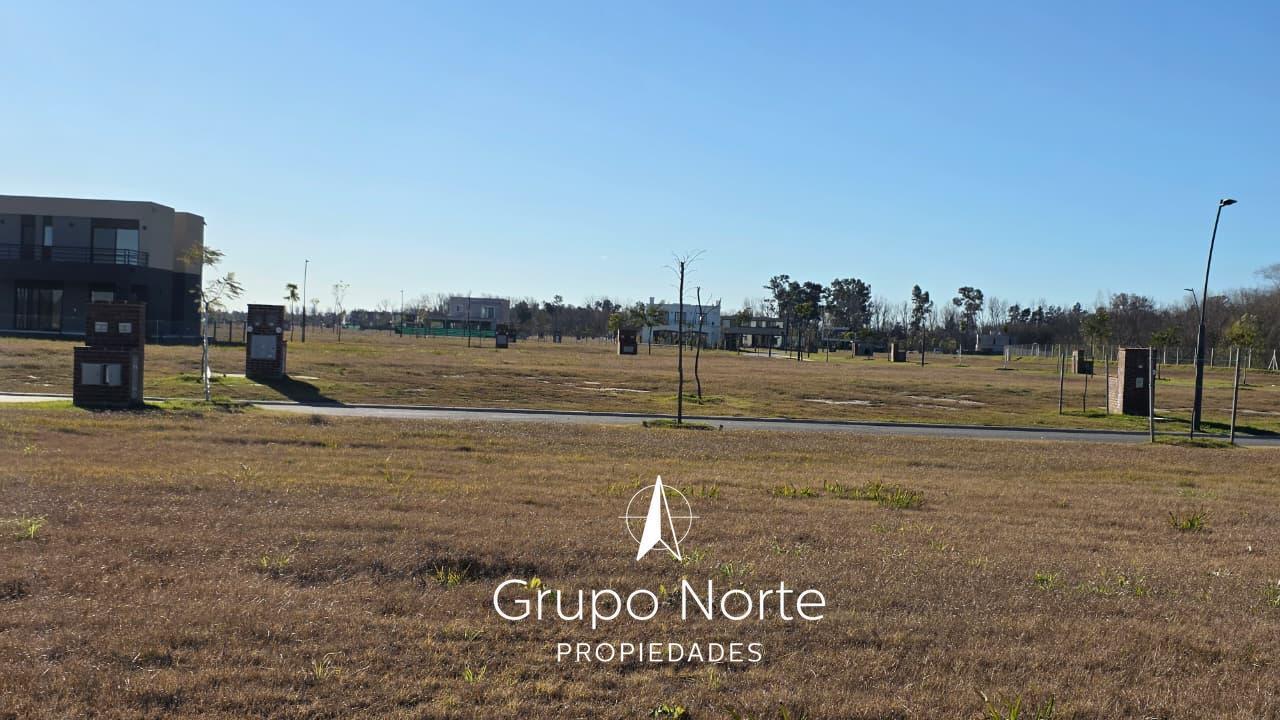 Foto de Terreno en venta en Puertos, Nativas. Interno, imagen 2