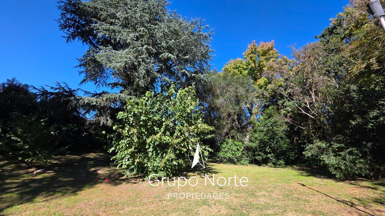 Foto de Terreno en venta 2000 M2 Benavidez. Tigre, imagen 5