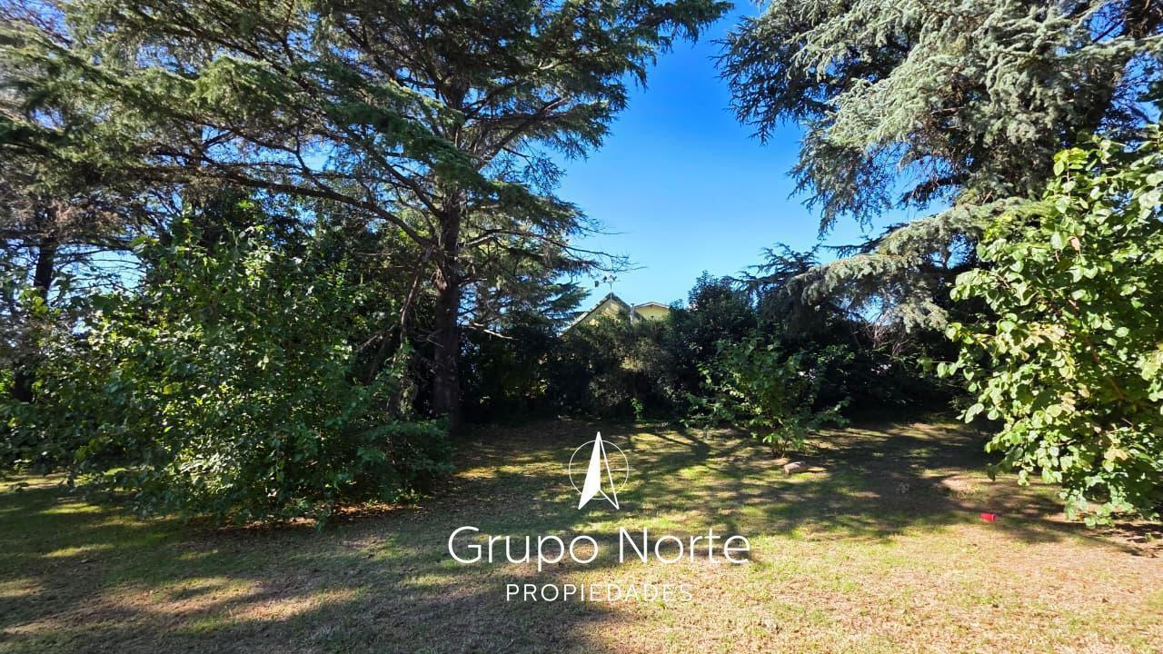 Foto de Terreno en venta 2000 M2 Benavidez. Tigre, imagen 4