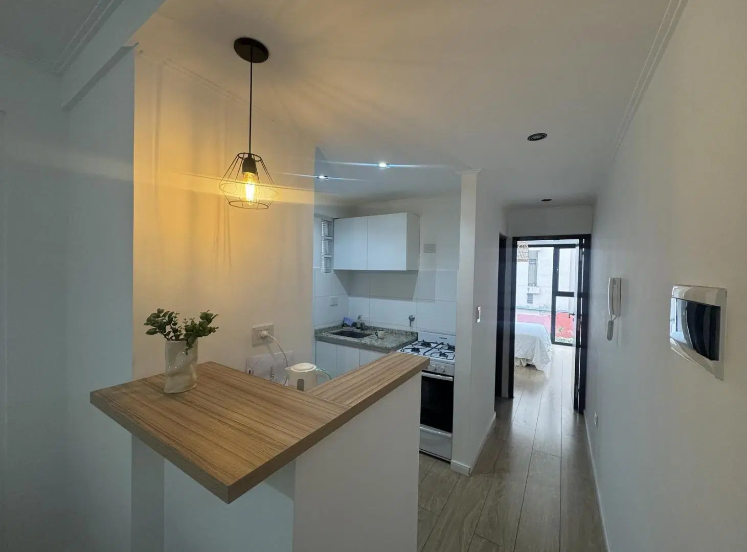 DEPARTAMENTO 1 DORMITORIO EN ALQUILER, LA PLATA 3