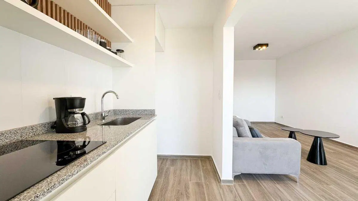 Departamento 2 Ambientes Balcon Parque Chacabuco 5