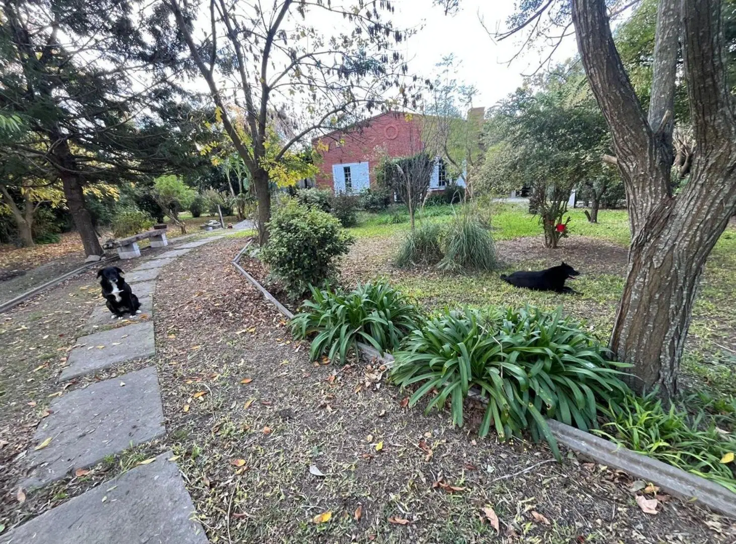 Venta Quinta en Lote 4234m2 Altos Los Cardales R 4 4