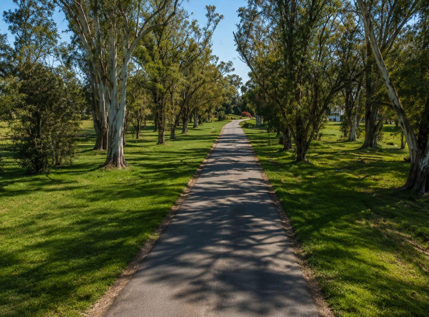 Foto de LOTE SAN ELISEO - SAN VICENTE - NUEVA OPORTUNIDAD, imagen 4