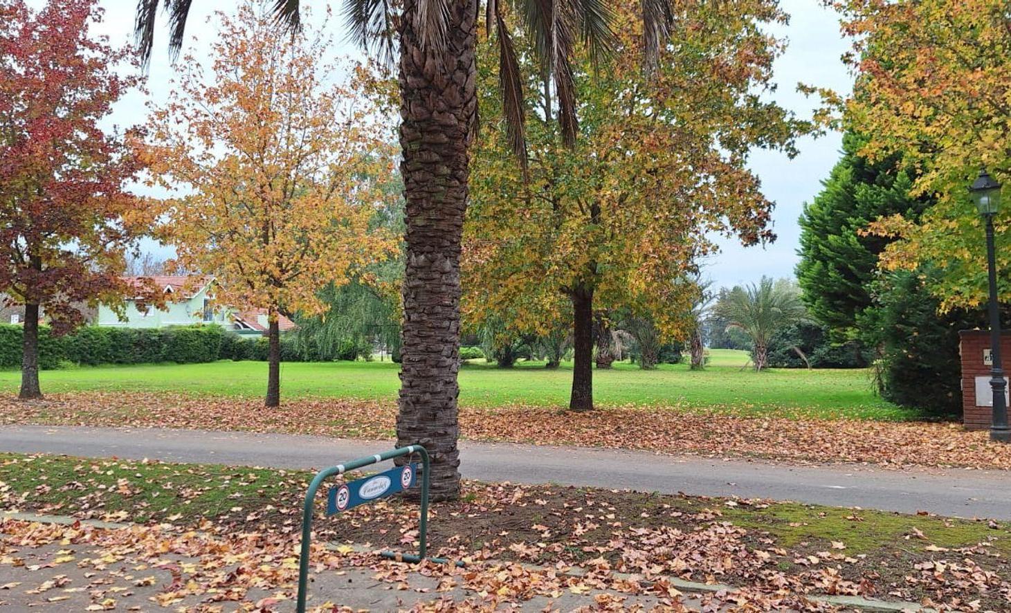 Foto de Terreno Club de Campo de las Cañuelas, imagen 3