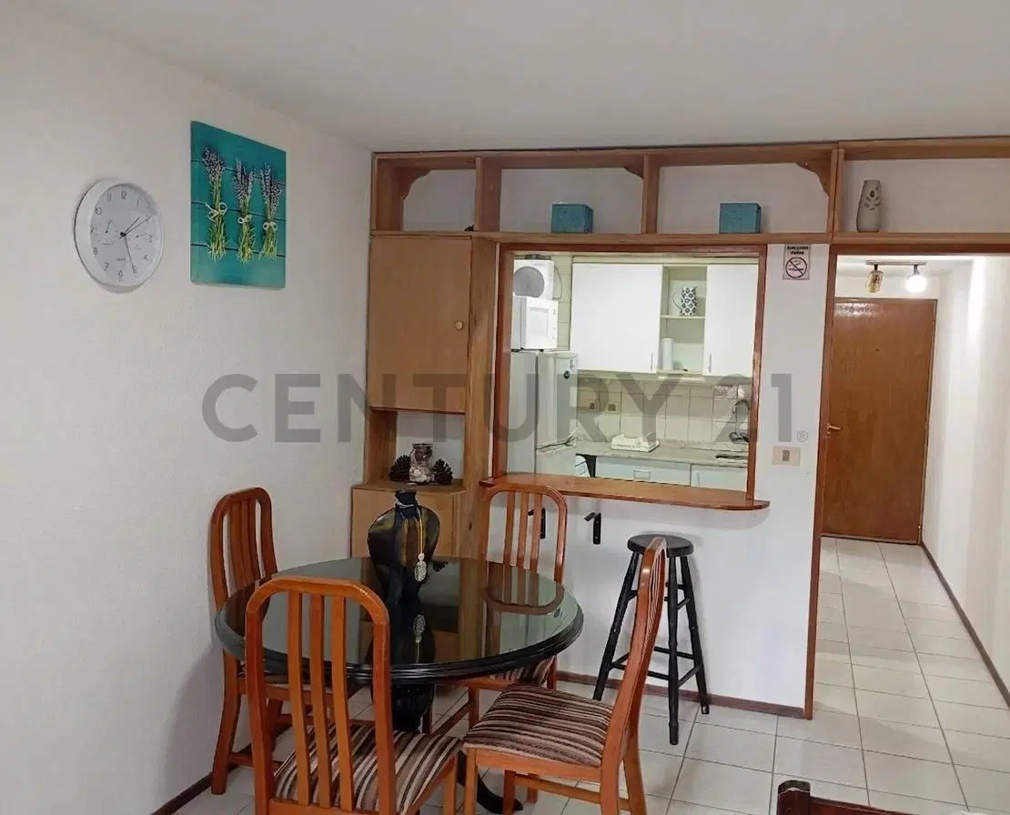 Alquiler monoambiente invernal Punta del este 4