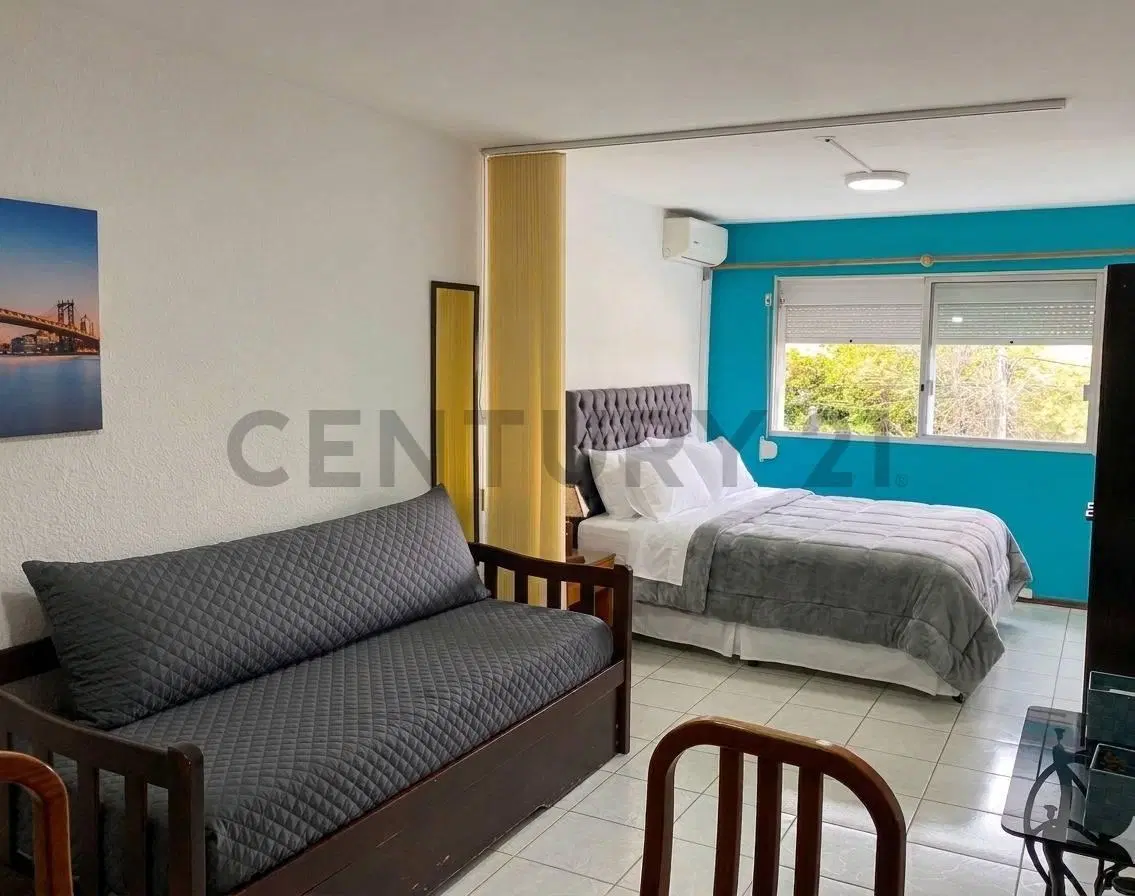 Alquiler monoambiente invernal Punta del este 3