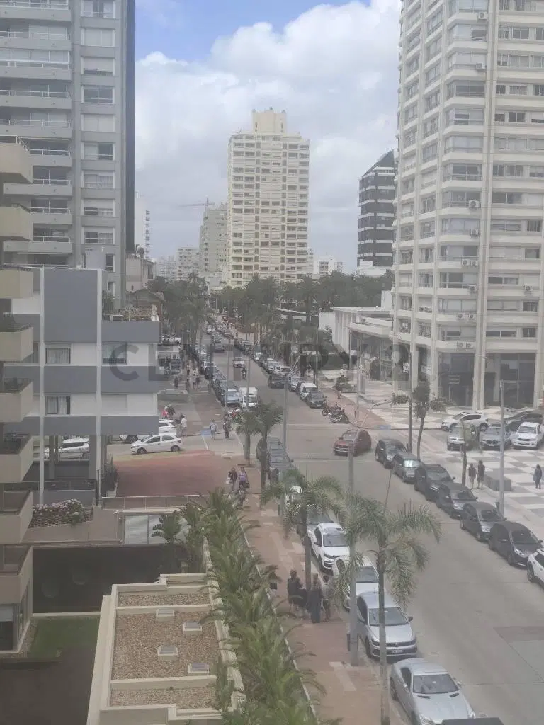 Alquiler Anual Aparatamento 2 dorm 2 baños Punta del Este 4