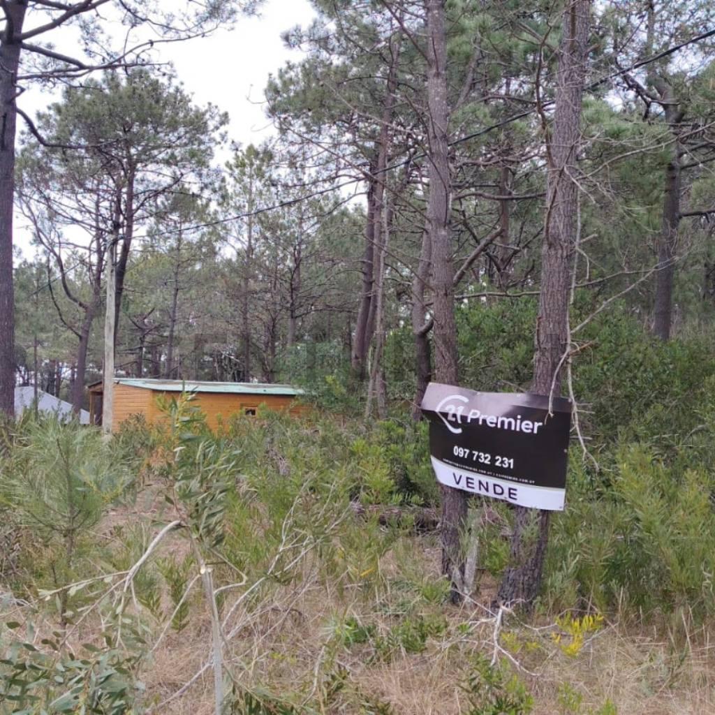 Foto de Venta Terreno en Oceanía del Polonio, Rocha 600 m², 100 m calle principal, imagen 3