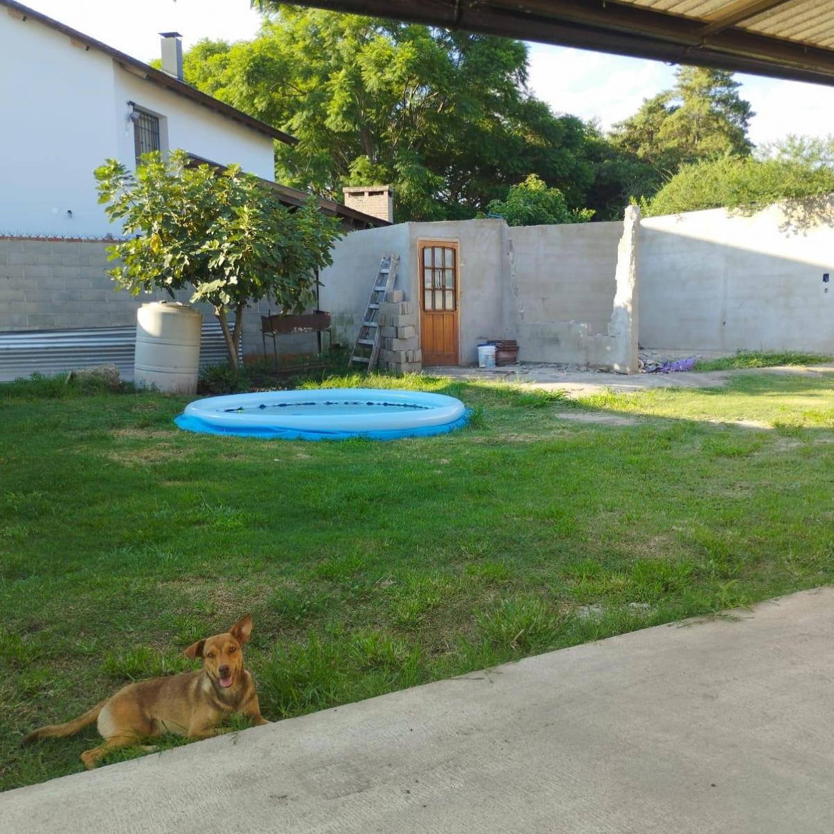 2 Casas en un Mismo Terreno 3