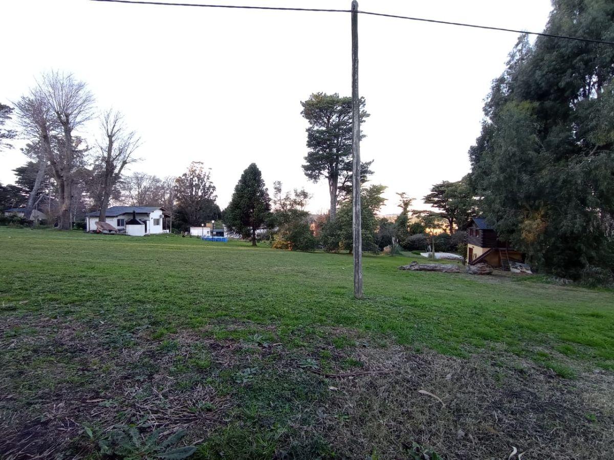Foto de Terreno en venta en Sierra de los padres, imagen 3