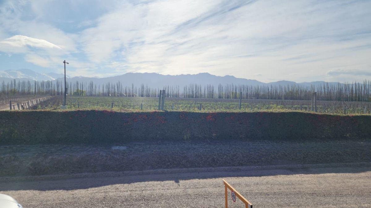 Foto de Terreno en venta en Vistalba, imagen 2
