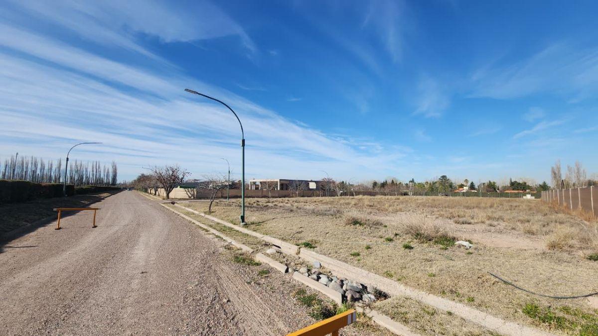 Foto de Terreno en venta en Vistalba, imagen 4