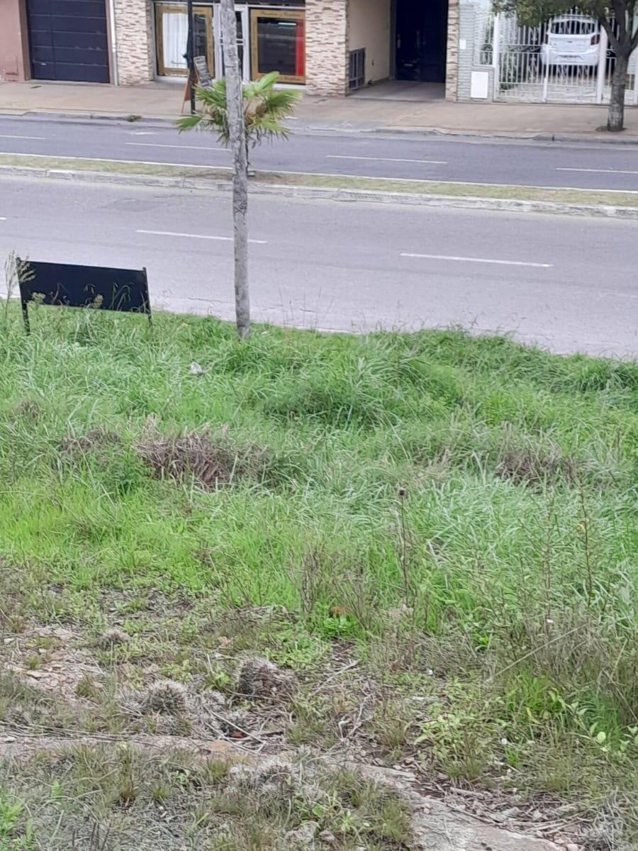 "¡Terreno a Precio de Remate! U$s 45.000 (Por 30 Días) - Av Estrada 260 3