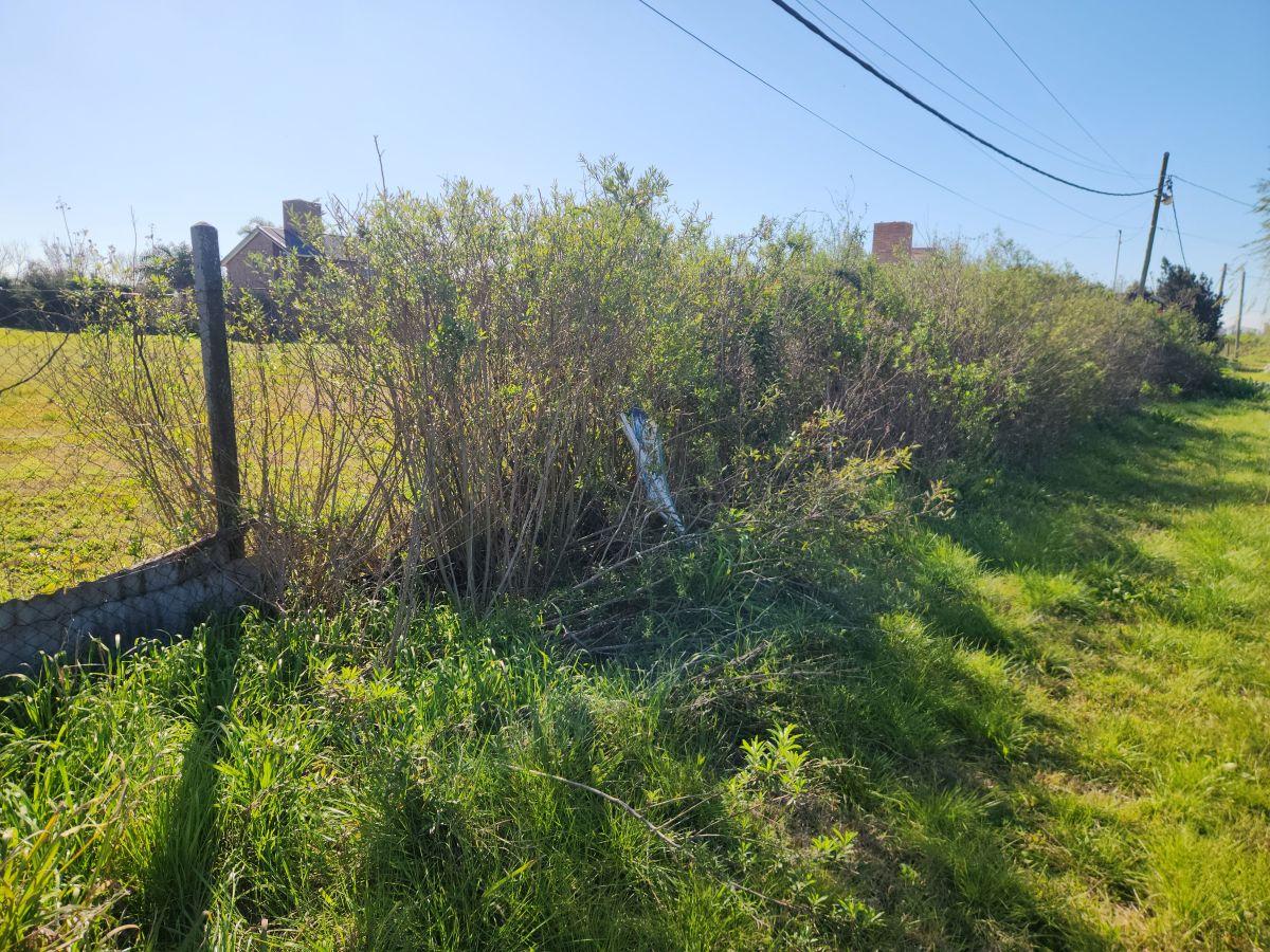 Foto de Terreno de 559 m² en venta en La Estancia II, imagen 1