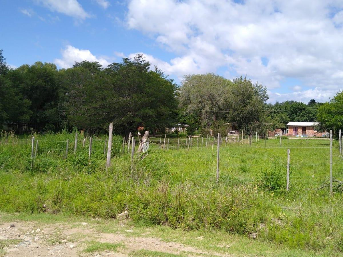 Terreno Villa Giardino 1