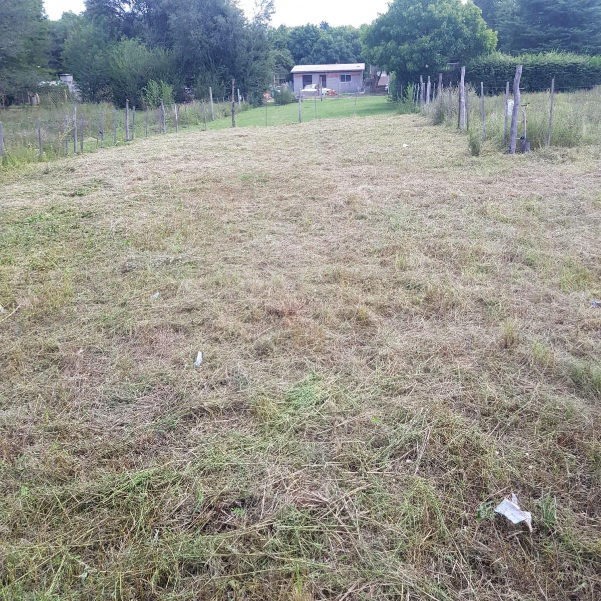 Terreno Villa Giardino 4