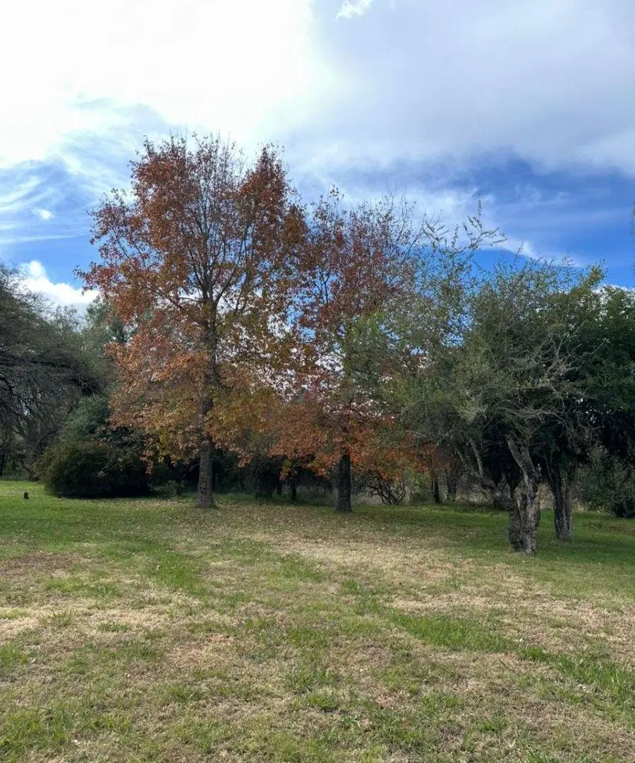 Casa en Santa Catalina, terreno de 2,4 Ha 3