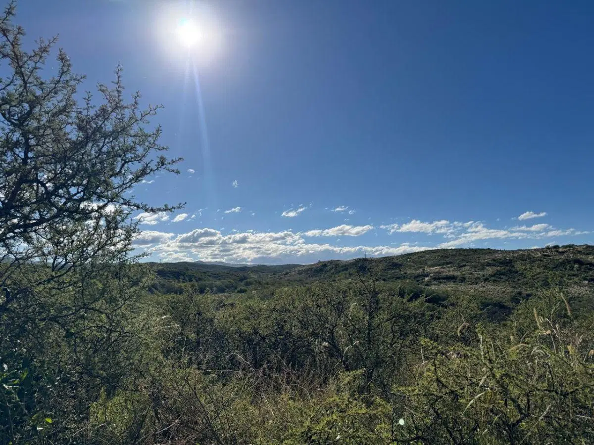 10 Lotes de 33 Ha en Santa Catalina 4