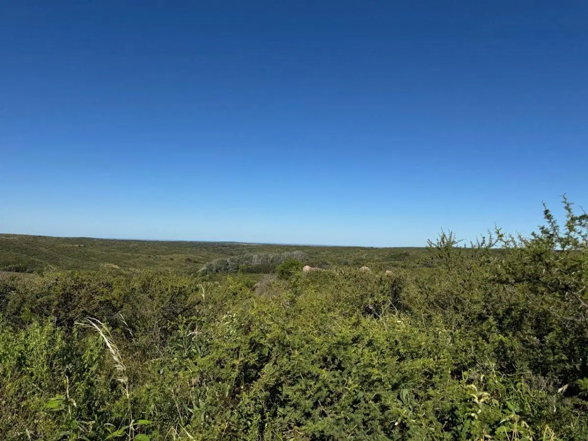 10 Lotes de 33 Ha en Santa Catalina 3