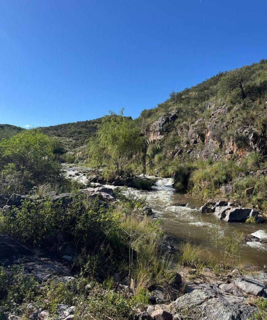 Foto de 10 Lotes de 33 Ha en Santa Catalina, imagen 1